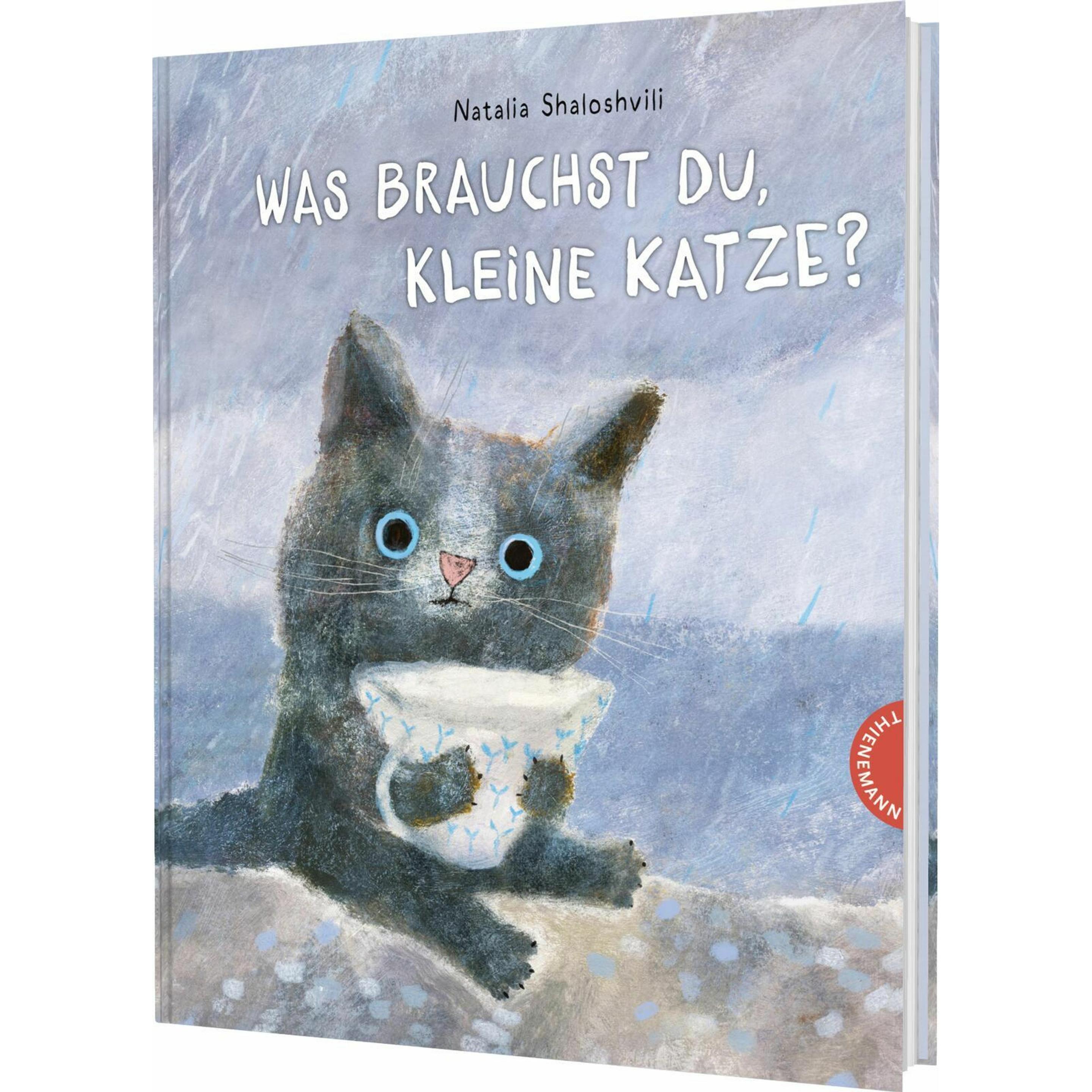 Thienemann, Libro bebè, Shaloshvili:Was brauchst du, kleine Kat
