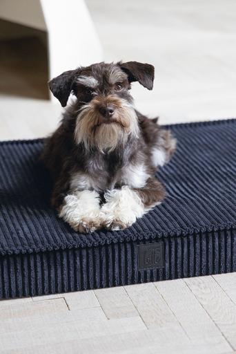 Immagine prodotto Designed by Lotte Cuscino per gabbia ortopedica a coste (Cane)