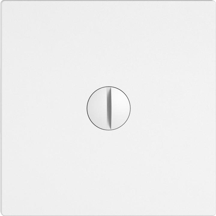Actual product image Feller Blind cover with centre screw, Edizio.Liv