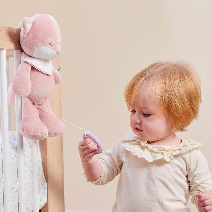 Image du produit Nattou Alice & Pomme Grande Alice le renard