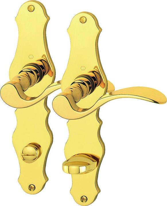 Actual product image Hoppe Munich (Door handle)