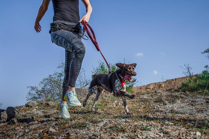 Image du produit Julius-K9 K9 Speed harness, Size : S, red (S, Chien, Sport canin)