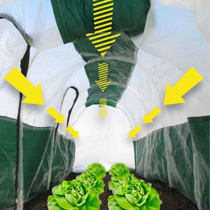 Image du produit Bio Green Super Dome