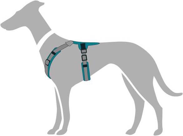 Actual product image Hunter Tableware Maldon (XS, Dog, General)