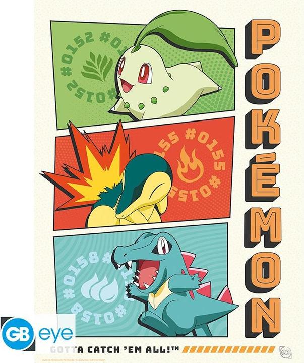 Actual product image Abysse POKEMON - Portfolio 9 posters Starters