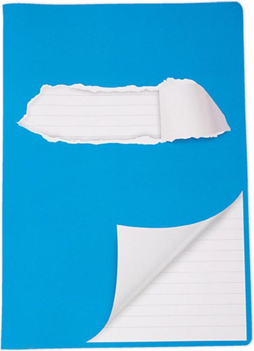 Actual product image Elco Exercise book (A4, Lined, Soft cover)