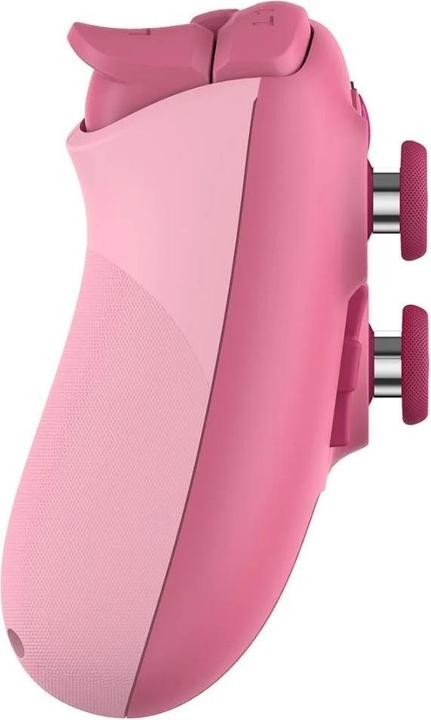 Immagine prodotto 8bitdo Ultimate 2C (Switch 2)