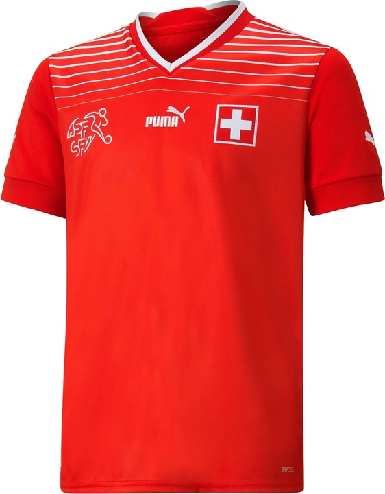 Actual product image Puma SFV Home Jersey Replica (128)