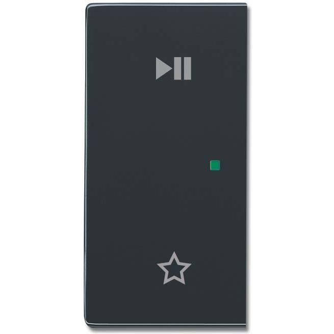 Busch-Jaeger, Zubehör Schalterprogramm, 6237-21-81 Wippe/L 2-fach,Play/Pause 2CKA006220A0733