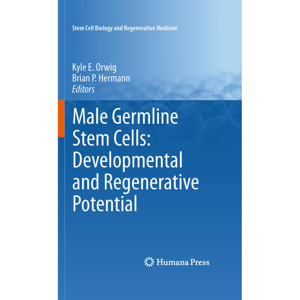 Male Germline Stem Cells: Developmental and Regenerative Potential, Fachbücher