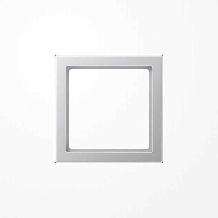 Actual product image JUNG Intermediate frame