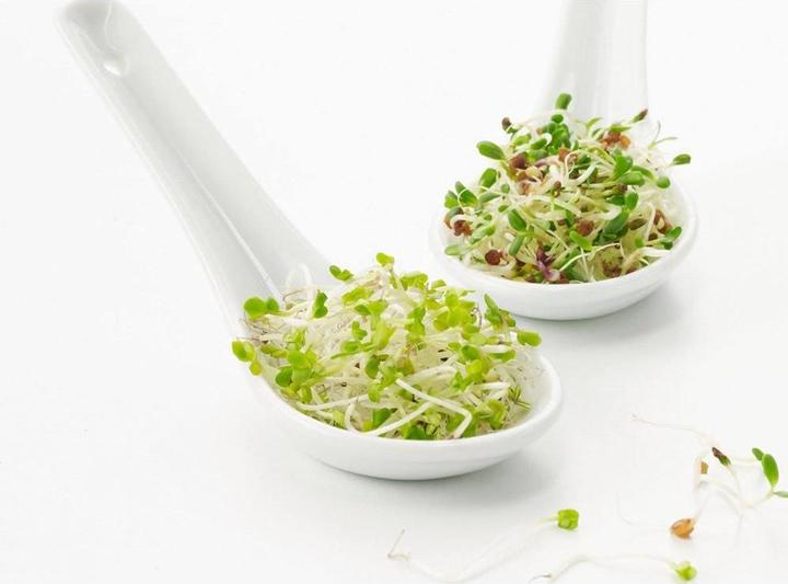 Image du produit Revol Cuillère chinoise (1 pièce(s), Scoops)