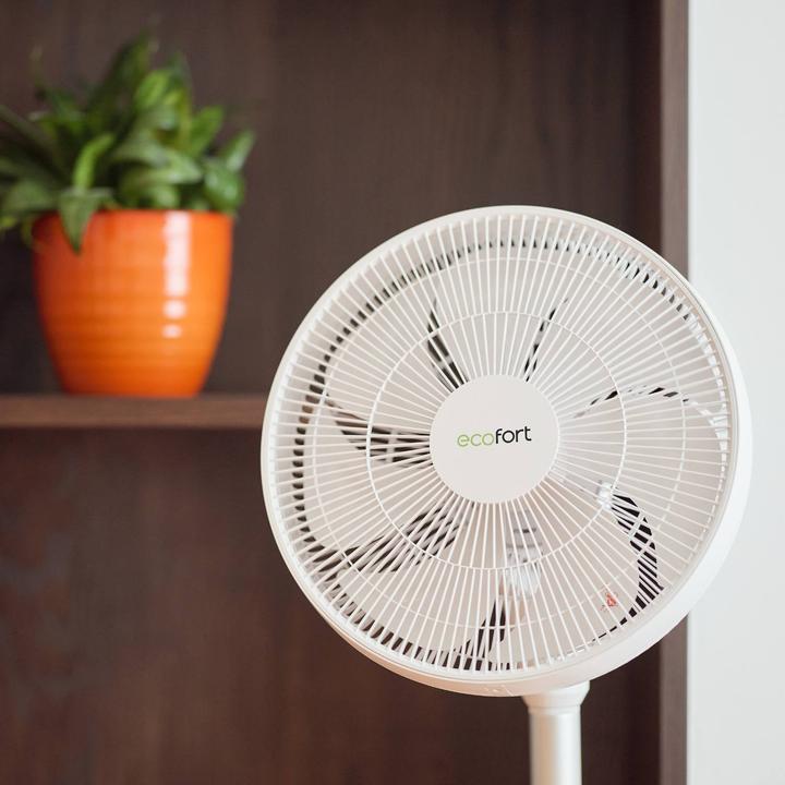 Produktbild ecofort ecoQ SilentAir Grande (58 dB)