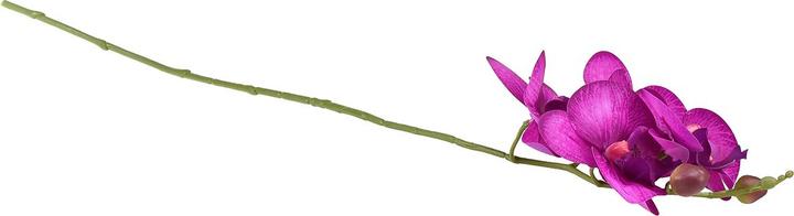 Immagine prodotto DPI Kunstblume - Orchidee - ca. 66 cm - pink (72 cm)