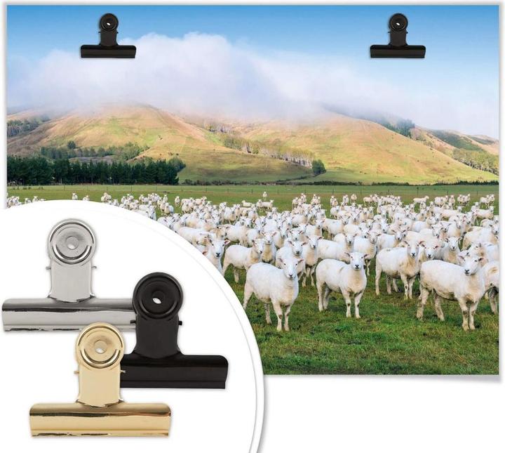 Image du produit Trenddeko Le troupeau de moutons (40 x 30 cm)