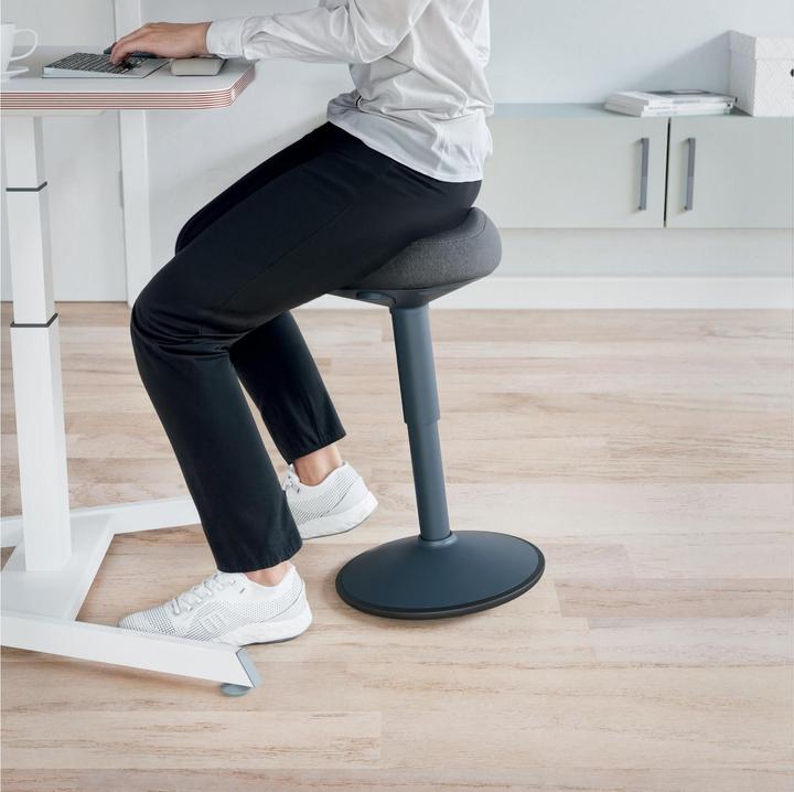 Actual product image Leitz Ergo Active