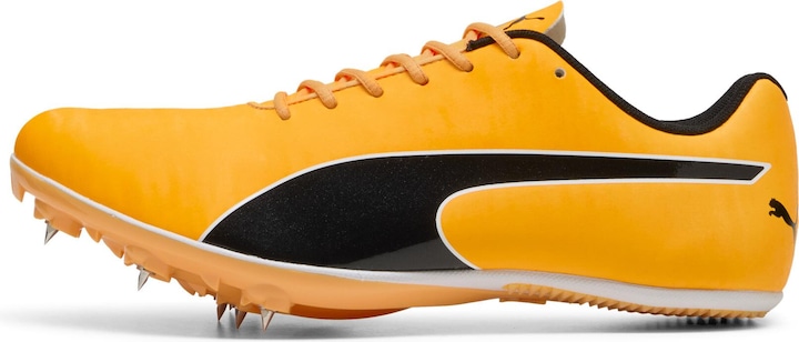Produktbild Puma evoSPEED Sprint 14.5 (47)