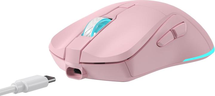 Produktbild Baracuda BGM-124 Schildkröte Rosa (Kabellos)