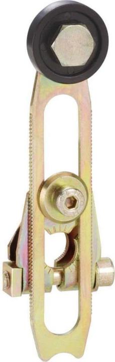 Actual product image TE Sensors Swivelling lever