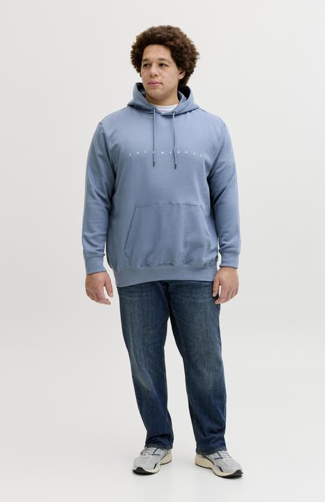 Produktbild Jack & Jones Jjestar Jj Sweat Hood Noos Pls