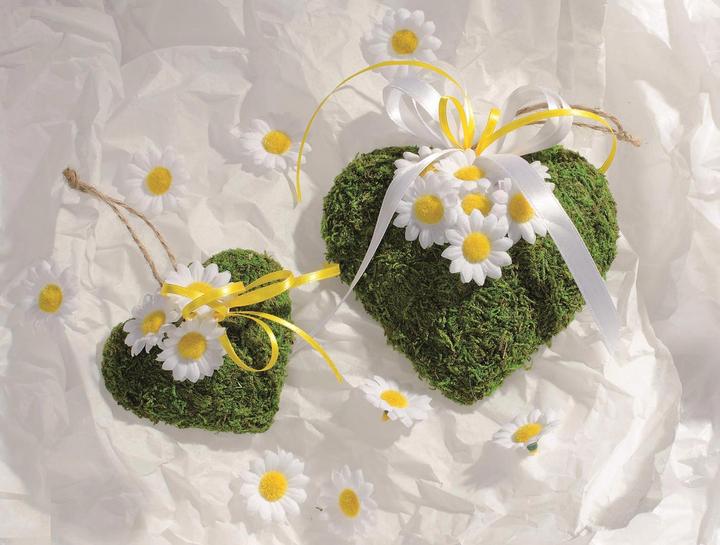 Immagine prodotto Glorex Cuore di muschio 12 cm