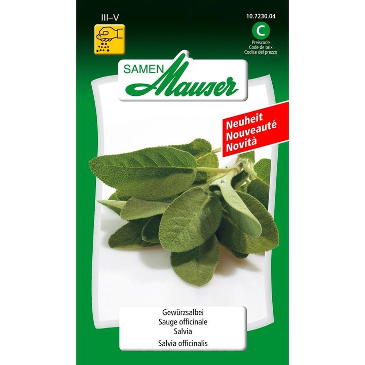 Immagine prodotto Samen Mauser Sage (Semi di erbe)
