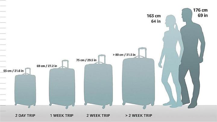 Actual product image Psngr Chicago 3pcs suitcase set (241 l)