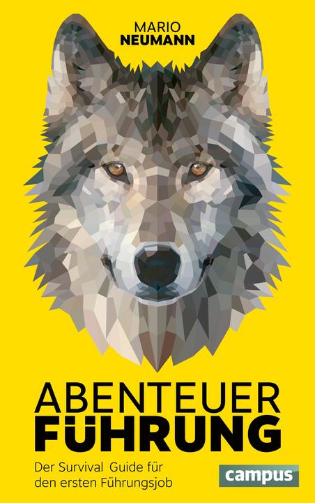 Produktbild Abenteuer Führung (Deutsch, Mario Neumann, 2015)