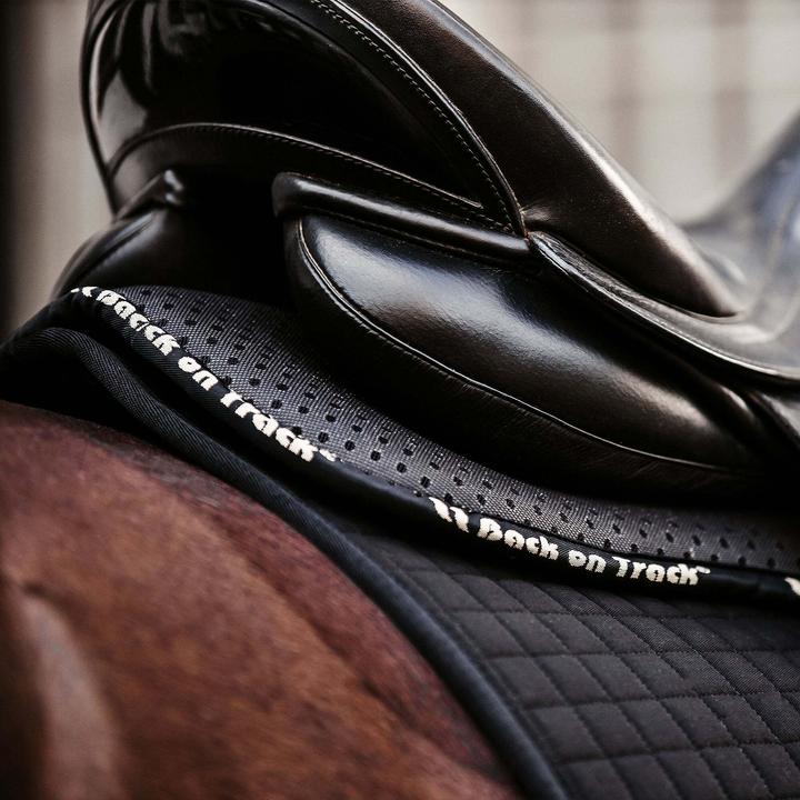 Produktbild Back on Track Aurora