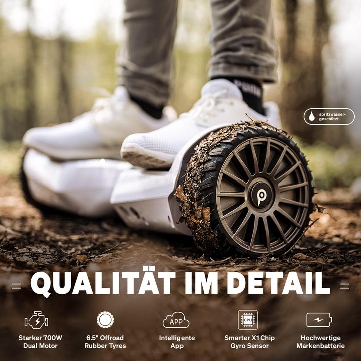 Actual product image Bluewheel HX380