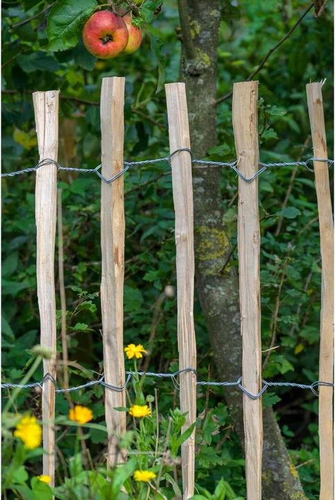 Actual product image Dobar Picket fence hazelnut 90x500cm