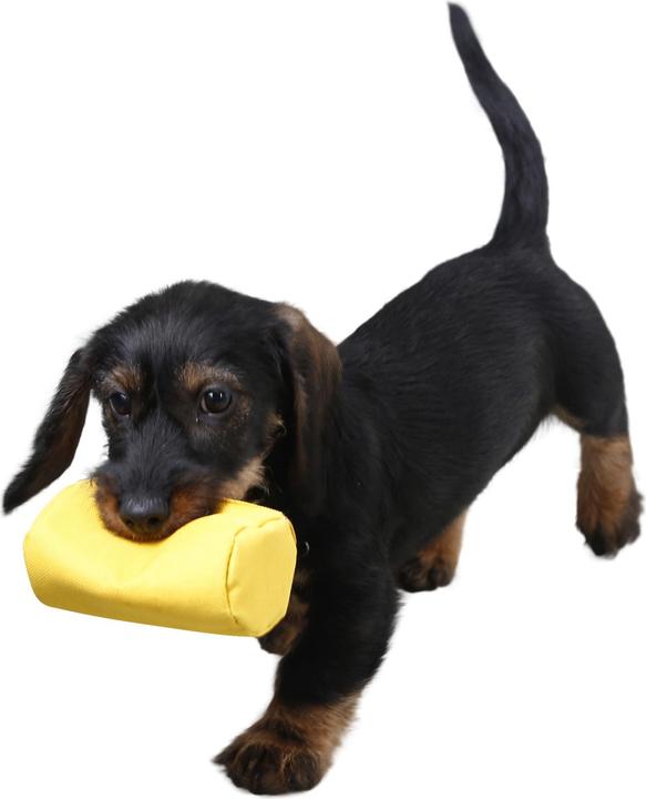 Produktbild Kerbl Snack-Dummy (Snackbeutel Hund)