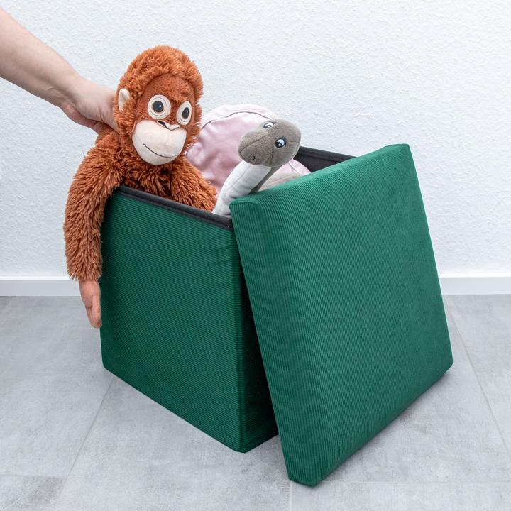 Actual product image Intirilife Foldable stool with storage space