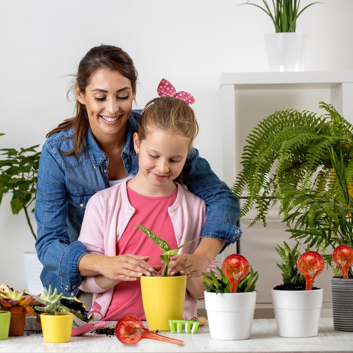 Produktbild Relaxdays 4x Bewässerungskugel (Bewässerungskugeln)