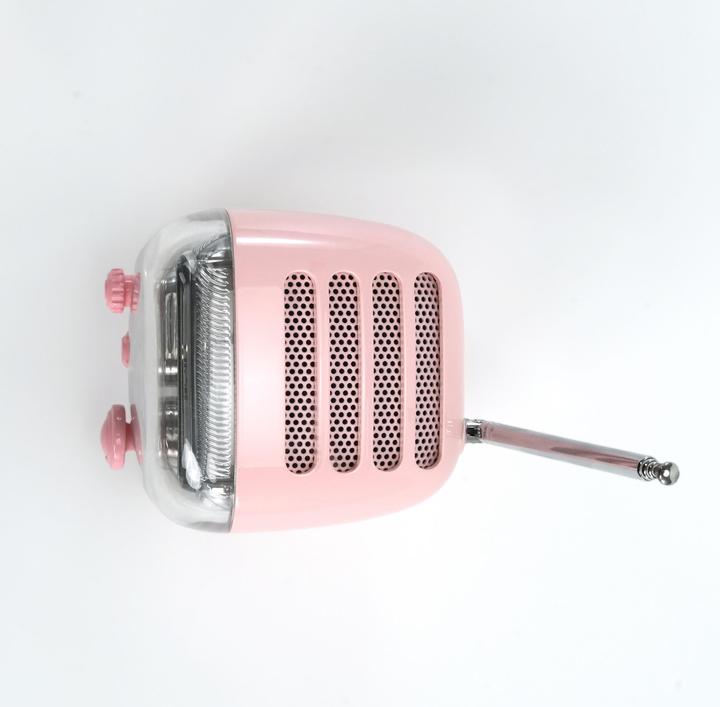 Actual product image Divoom Tiivoo-2 pink