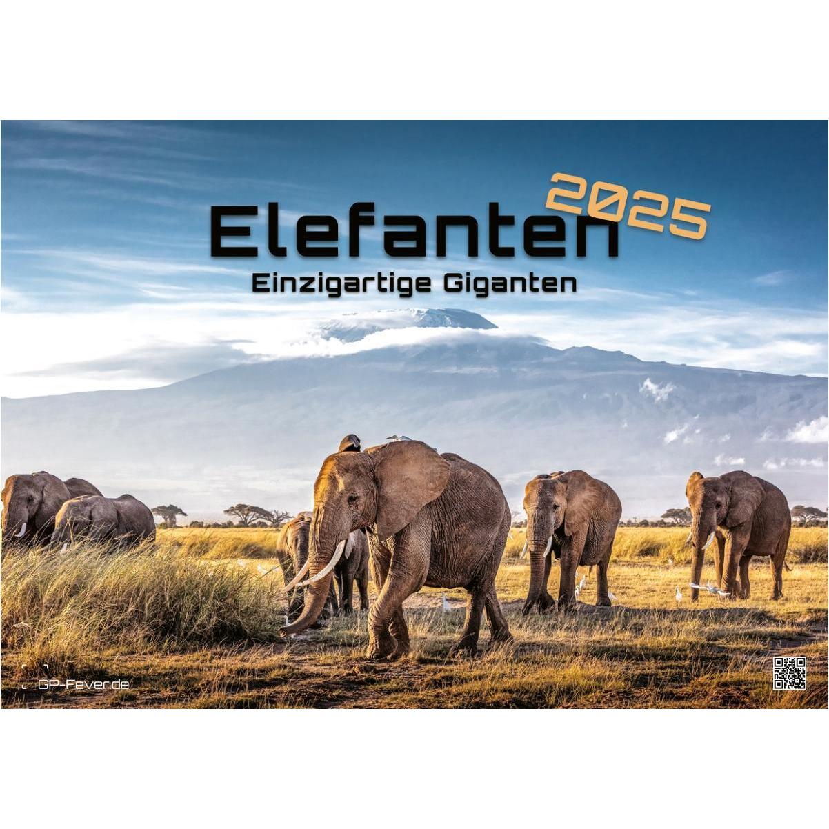 GP Fever, Kalender, Elefanten - einzigartige Giganten - 2025 - Kalender DIN A3 (A3, Harter Einband, Deutsch)