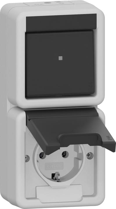 Actual product image Gira 417630