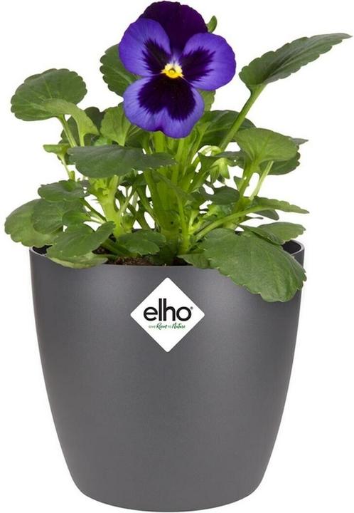 Actual product image Elho Brussels Mini (11 x 10 cm)