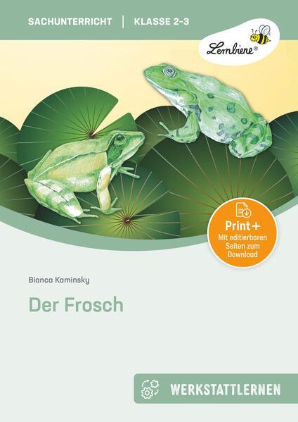 Produktbild Der Frosch. Grundschule, Sachunterricht, Klasse 2-3 (Deutsch, Bianca Kaminsky, 2024)