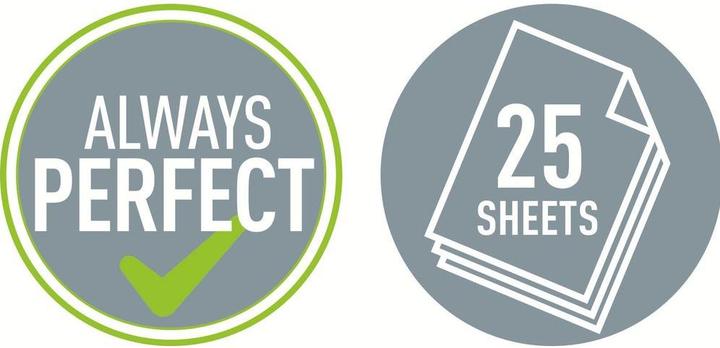 Actual product image Leitz Office punch