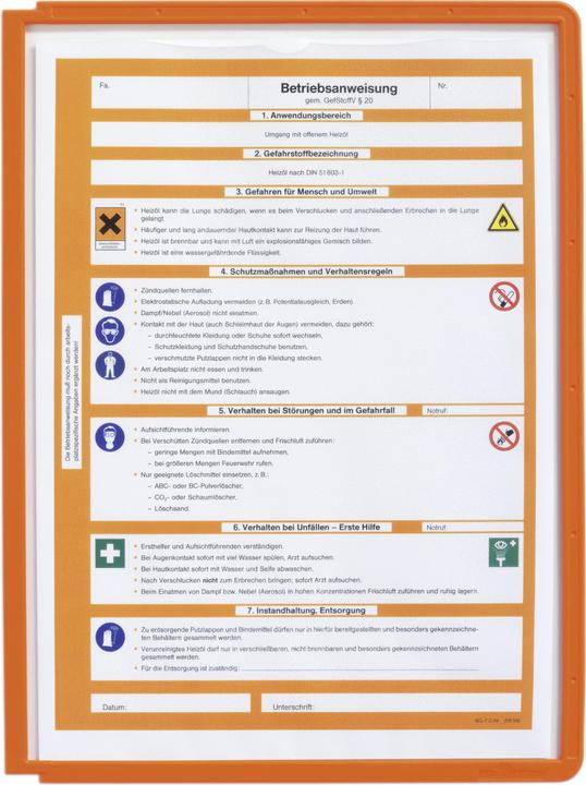 Image du produit Durable SHERPA PANEL A4 5 ST 560609