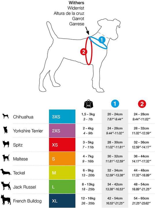 Actual product image Curli Tableware Merino (3XS, Dog, General)