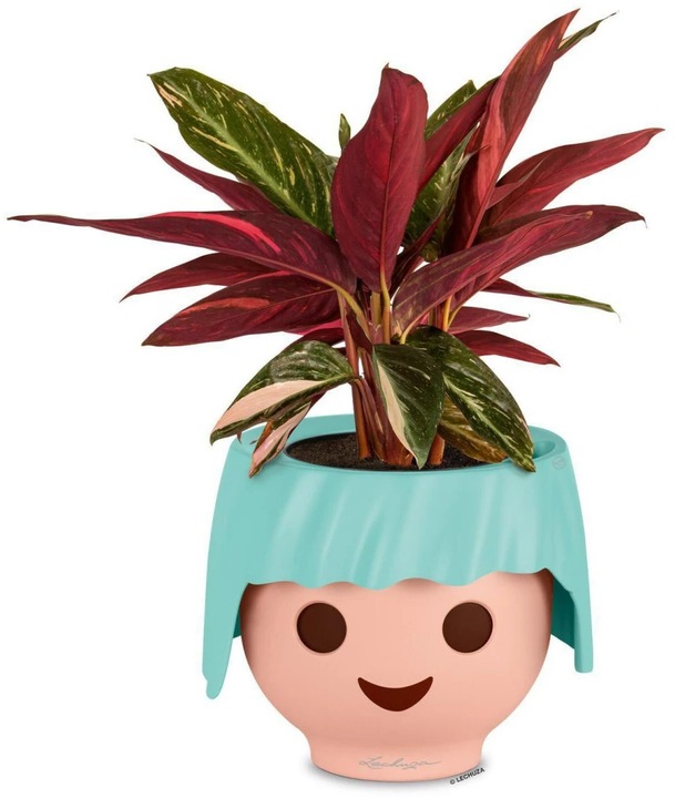 Produktbild Lechuza Ojo (21 cm)