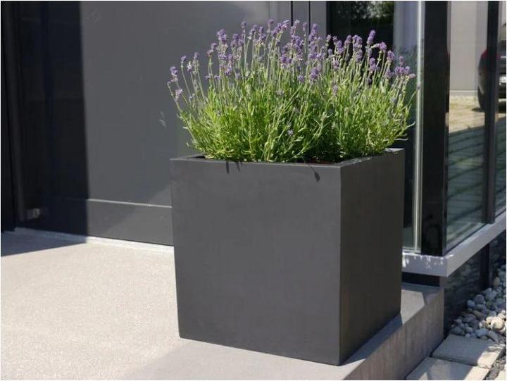 Produktbild Revox Botanic 50 (1 Paar, 120 W)