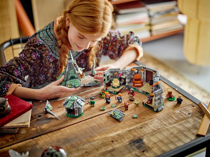 Image du produit LEGO La cabane de Hagrid : une visite inattendue (76428, LEGO Harry Potter)