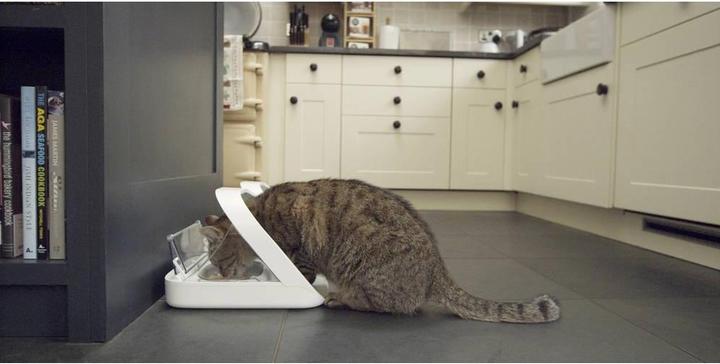 Productafbeelding SureFeed Microchip feeder (40 cl)