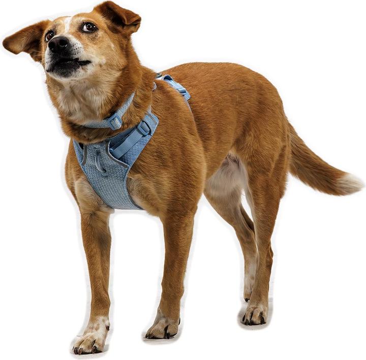 Produktbild Ruffwear Front Range Flex (S, Hund)