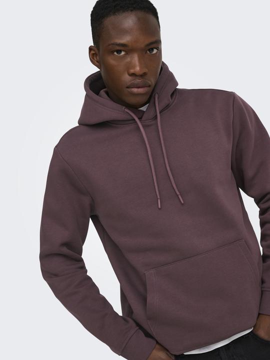 Image du produit Only & Sons Onsconnor Life Reg Sweat Hoodie Noos (L)