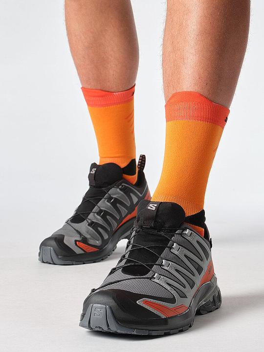 Produktbild Salomon XA Pro 3D V9 GTX (42)