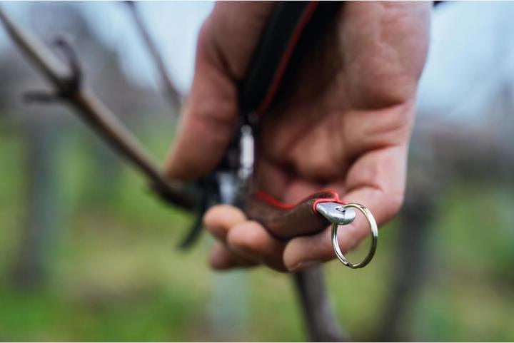 Produktbild Felco 6 Elite Gartenschere für mittelgrosse Hände, für Rechtshänder